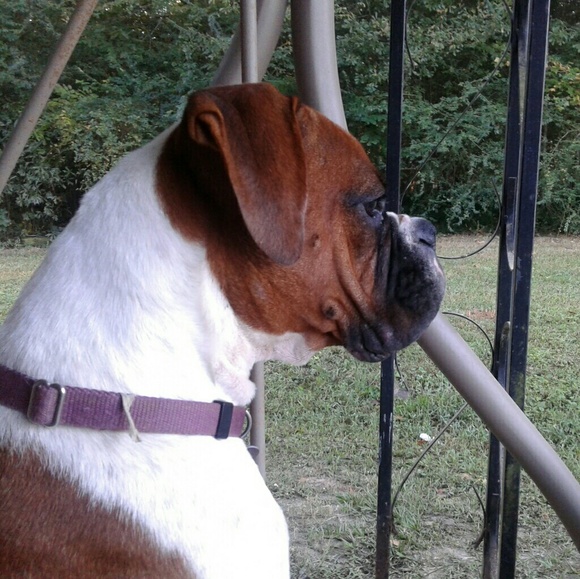 Meet your Posher, Sharon - Picture 6 of 6